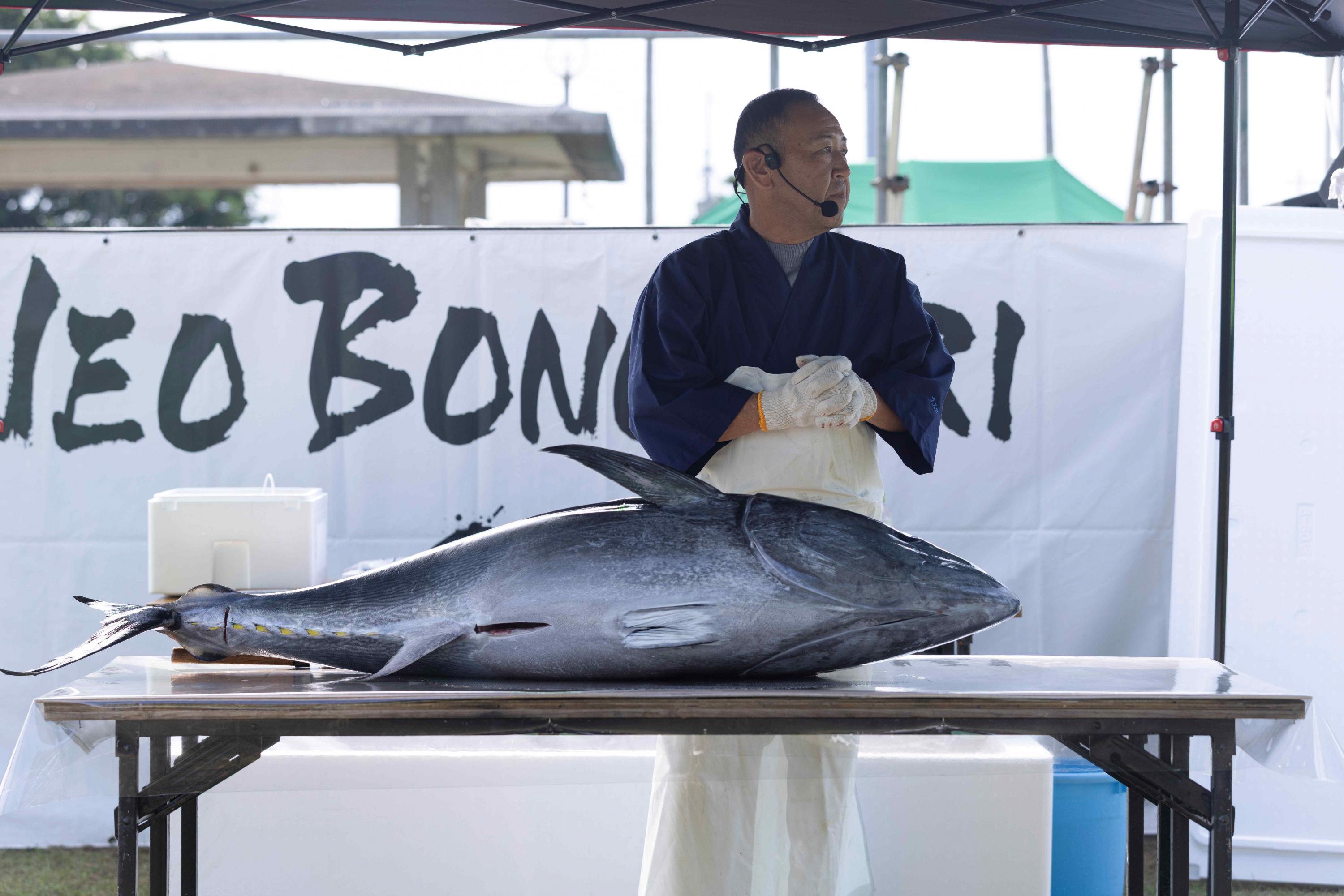maguro1