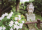 jizou