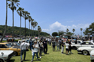 オールドカーが並びにぎわいを見せるみなと公園