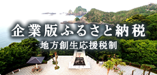 企業版ふるさと納税 地方創生応援税制